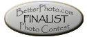 BetterPhoto.com Photo Contest FINALIST